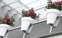 Balkonbak Elho Pure Flower Bridge